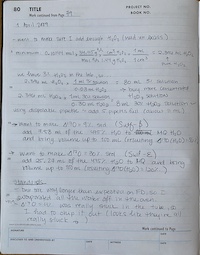 HMA's lab notebook screenshot page 80