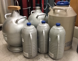 hand-held liquid nitrogen dewars